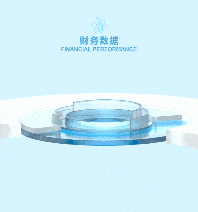 财务数据.gif
